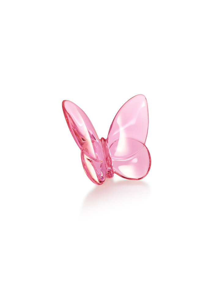Papillon - Pink