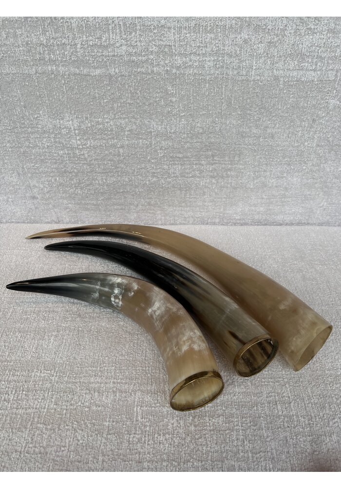 Horn With Gold