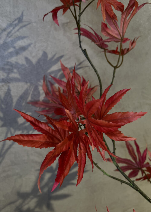 Maple Branch - Red - 166cm