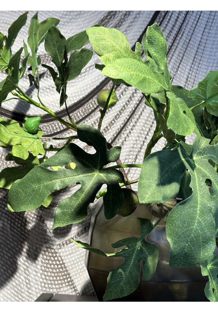 Fig Branch - Green - 75cm