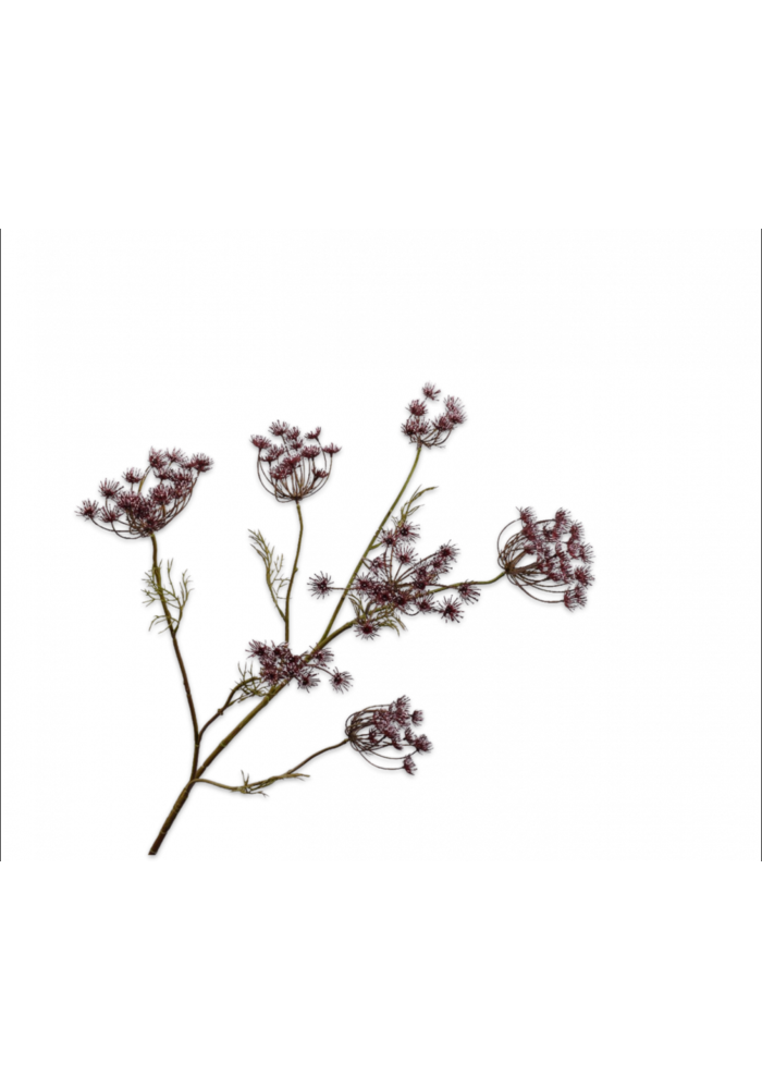 Dille Branch - Purple - 107cm