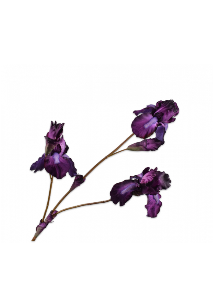 Iris Branch - Purple - 102cm