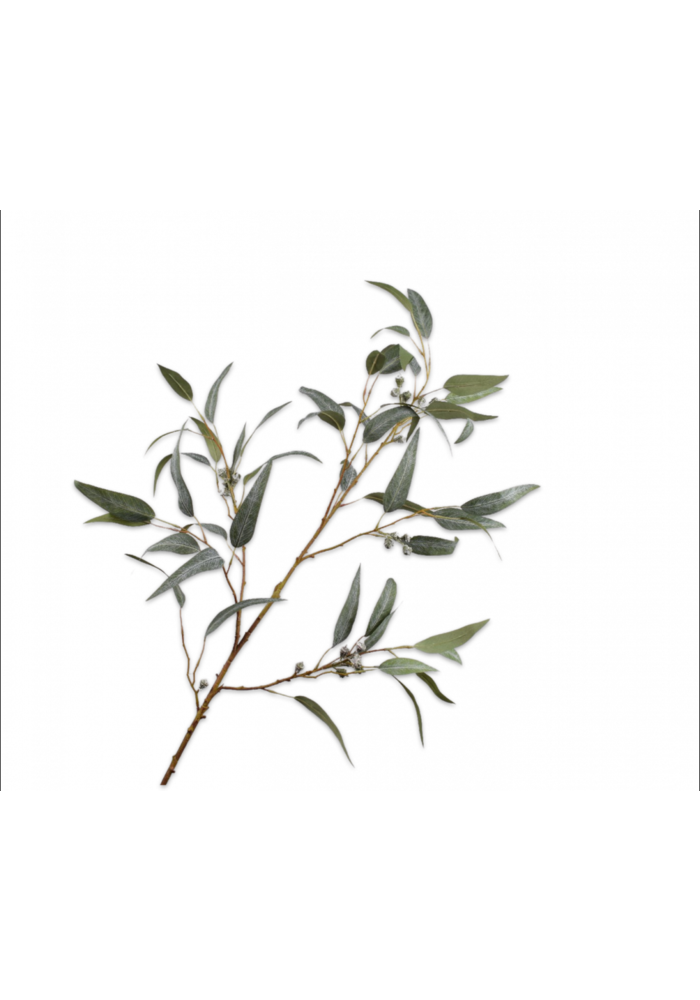 Eucalyptus Branch - Green - 121cm