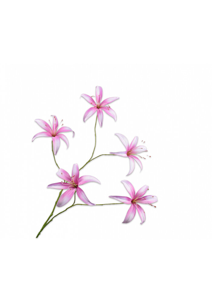 Lily Branch - Soft Pink - 113cm