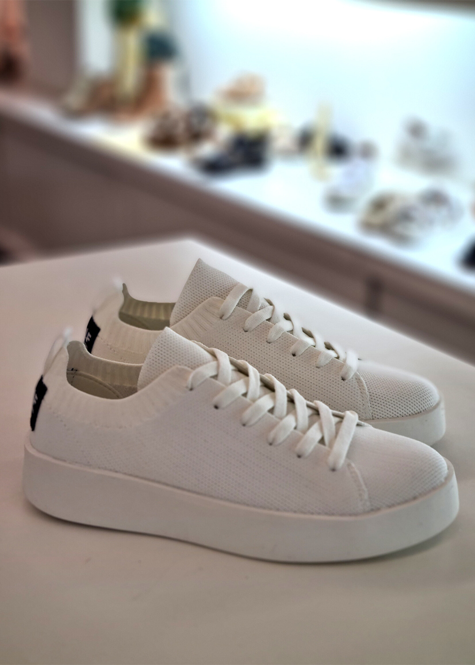 Elio Knit Sneakers White