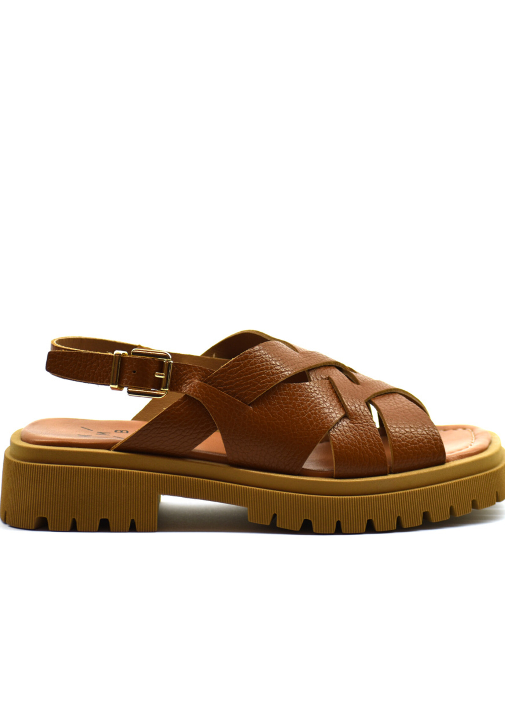 Sling Sandalen Dollaro Tan