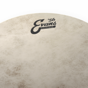 Evans Calftone - 12" - Tom Tom / S.D.