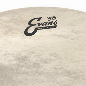 Evans Calftone EQ4 - Bass Drum - 16"