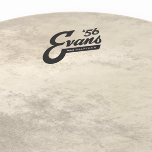 Evans Calftone EQ4 - Bass Drum - 20"