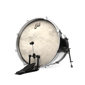 Evans Calftone EQ4 - Bass Drum - 20"