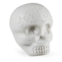 Latin Percussion LP006-GLO Skull Shaker