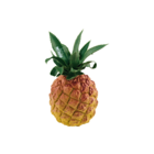 Meinl Nino NINO595 - Pineapple Shaker