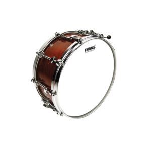 Evans Orchestral Coated - 14" - Snare Drum - B14GCS