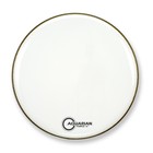 Aquarian Force II - 22" - Gloss White Resonant - FR22WH