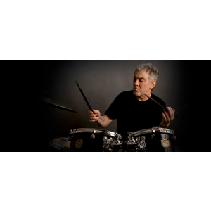 Vic Firth SSG - Steve Gadd Signature
