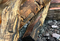 Panoramic HD Linkerhoek (75-200cm)