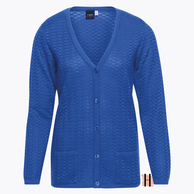 Tricot Vest met Structuur en Knoopsluting in Blauw