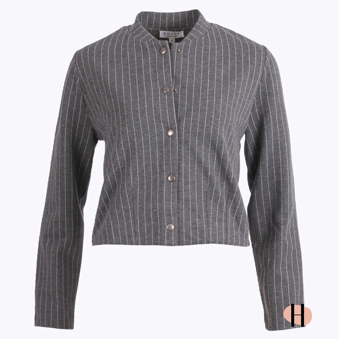 Grijze Krijtstreep Bomber Cropped Model