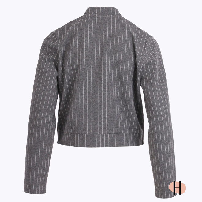 Grijze Krijtstreep Bomber Cropped Model