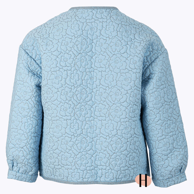 Vestje met Zilver Geborduurde Bloemen Blauw