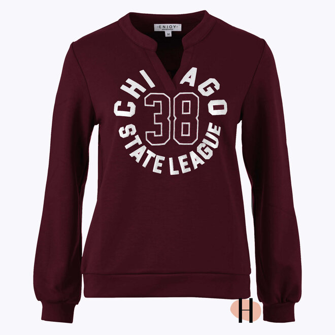 Sportieve Sweater "Chicago" in Burgundy