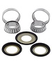 All Balls Balhoofdlagerset CRF250R 17-, CRF450R 18-