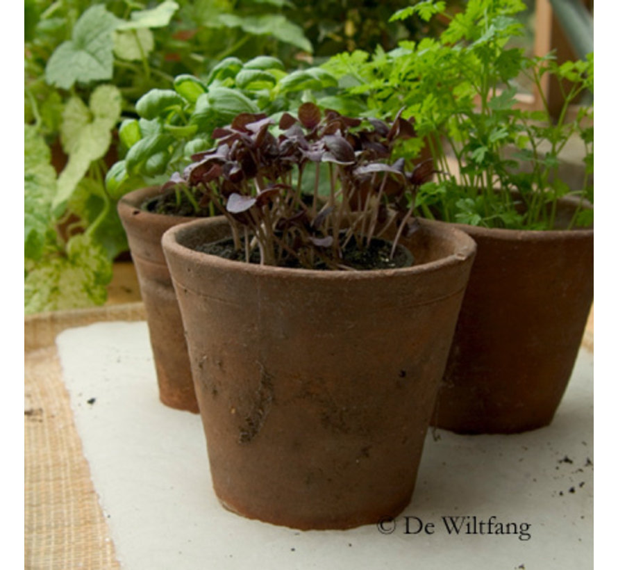 Watermat voor bloempotten - Bewateringsmat