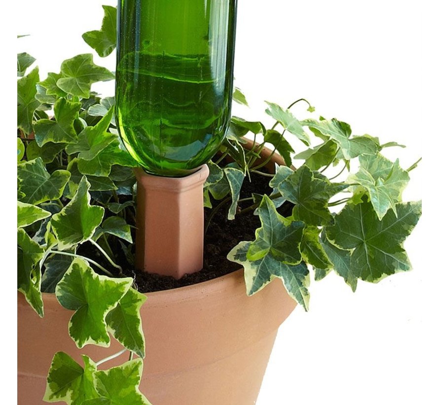 Druppelaar terracotta - Wijnfles