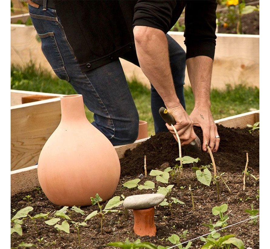 Druppelaar rond - Klein