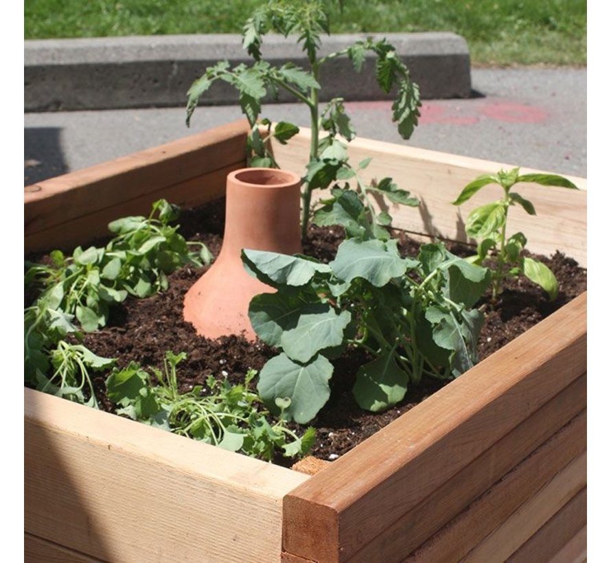 Druppelaar rond - Middel