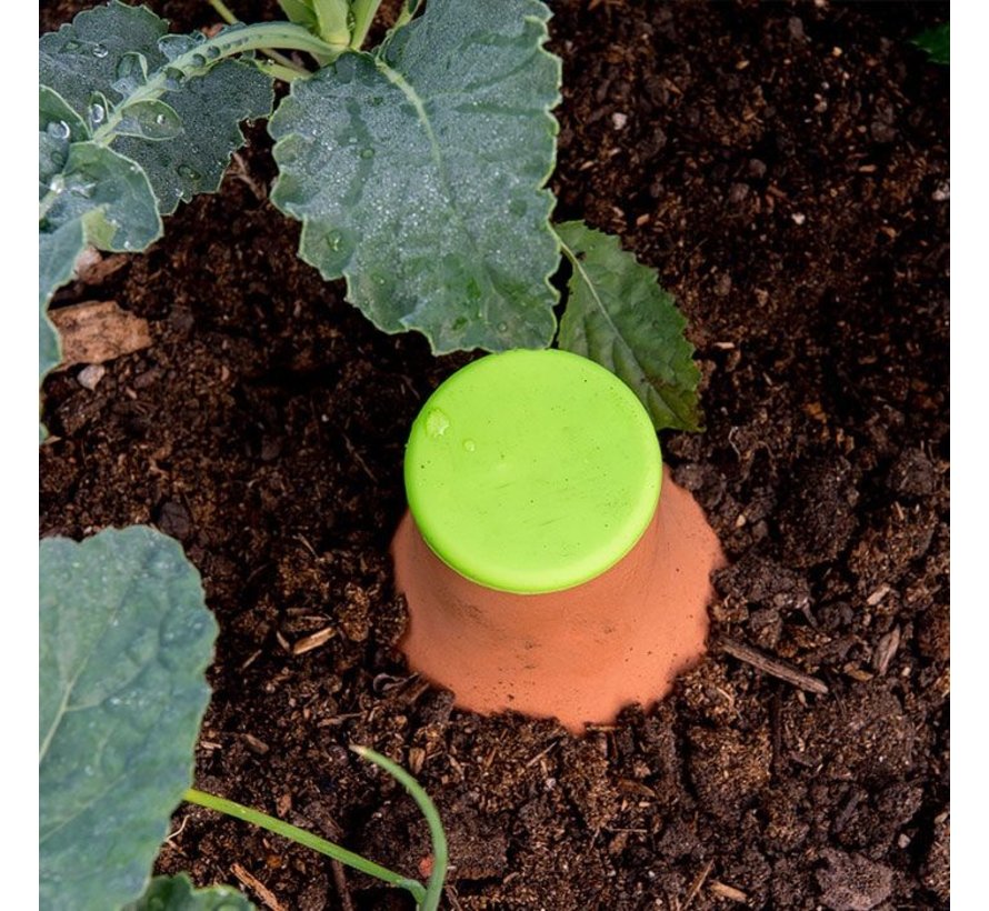 Druppelaar rond - Middel