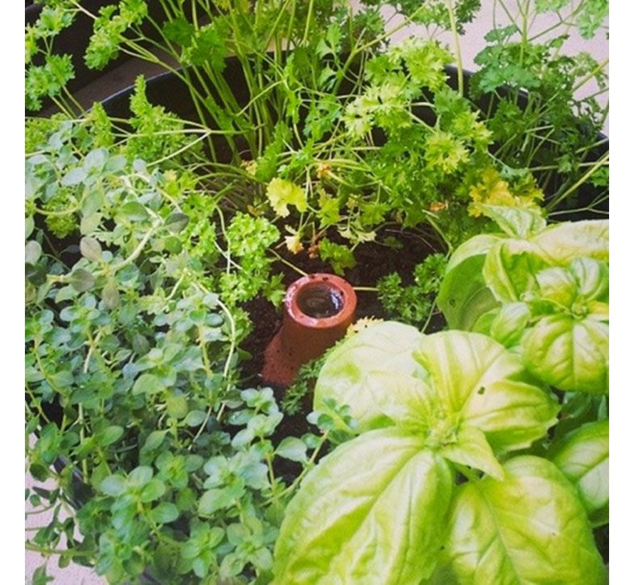 Druppelaar rond - Groot