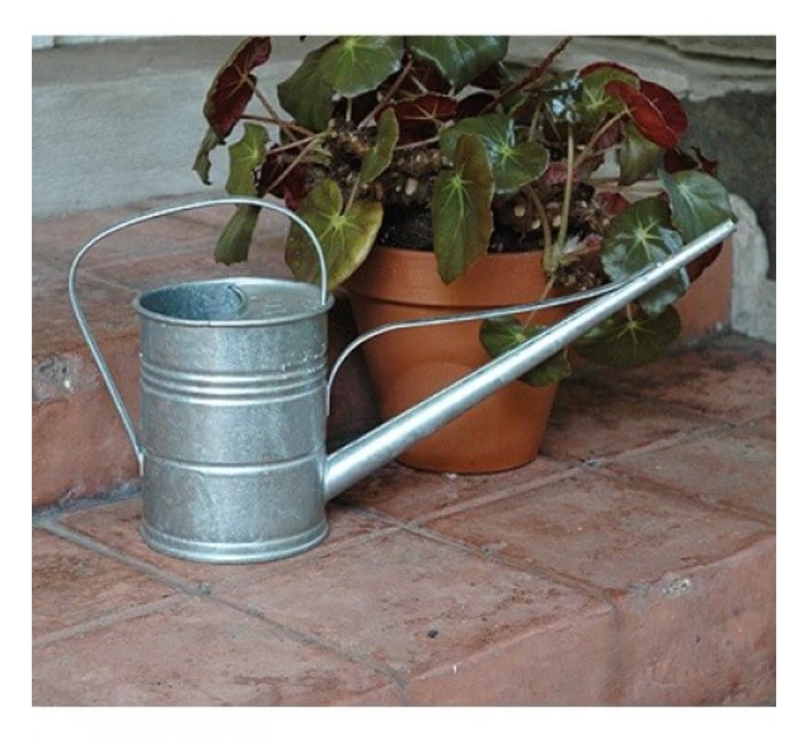Gieter 1,5 liter - Zink