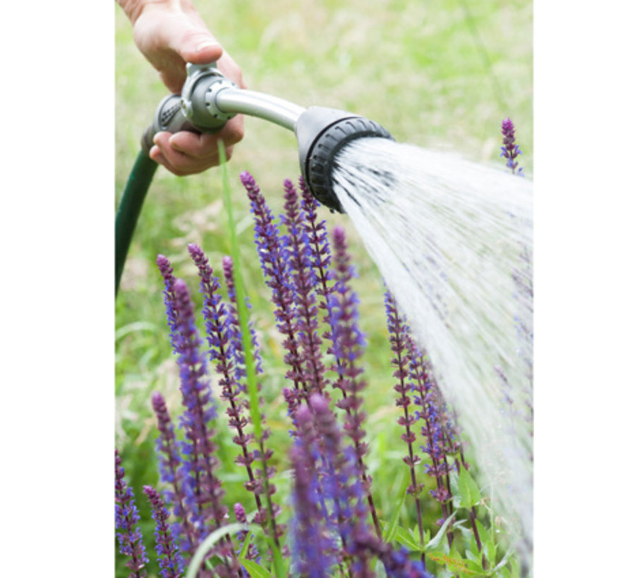 Sproeilans - 40 cm - 8 Standen