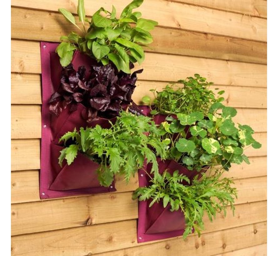 Plantenzak - Paars - 2 stuks