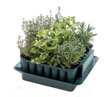 Agralan Zaaibakje Compact - 49 plantjes