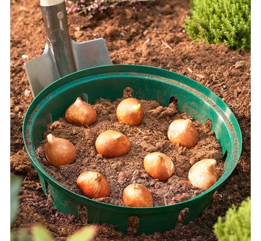 Bollenmand - ø 30 cm - 3 stuks