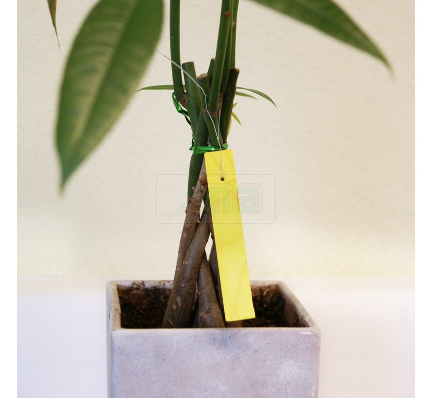 Bindetiket Hout - 10 stuks