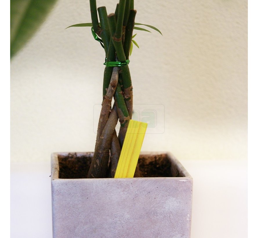 Steeketiket Hout - 10 cm - 10 stuks