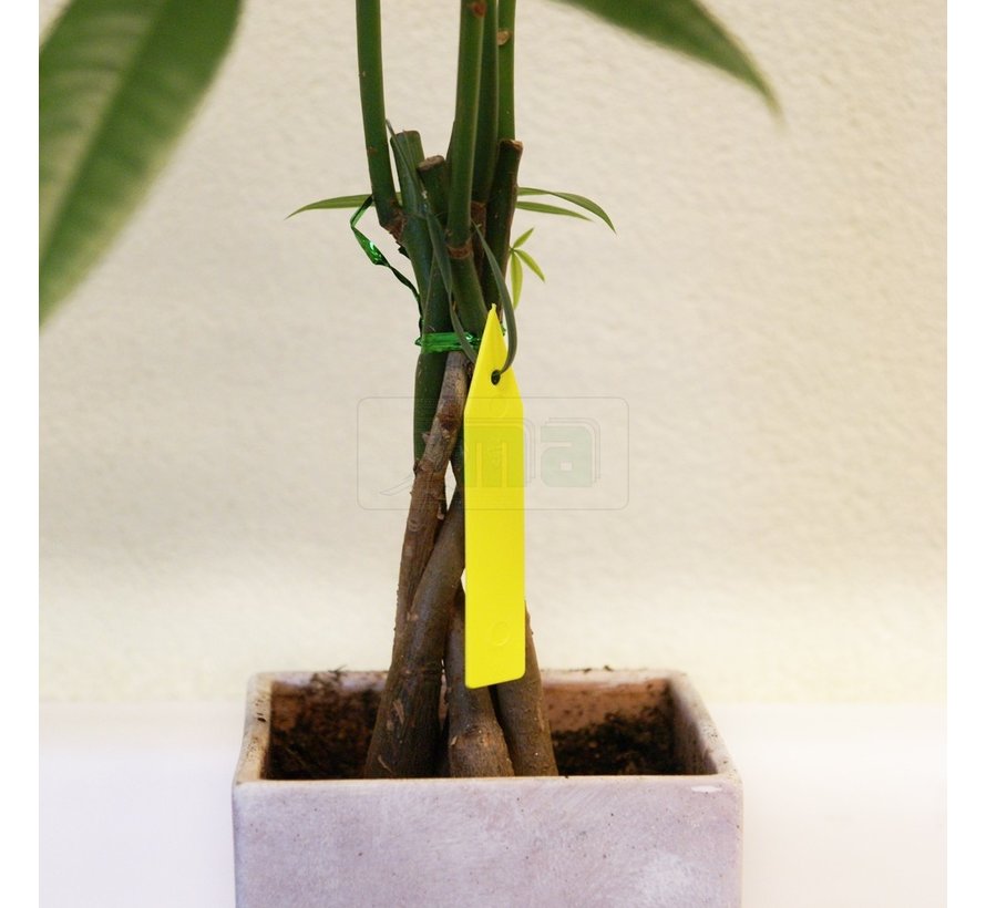 Bindetiket - 25 stuks