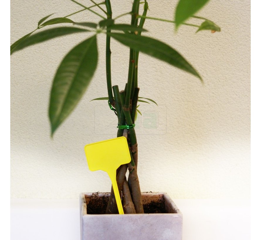 Plaatetiket - 7 stuks