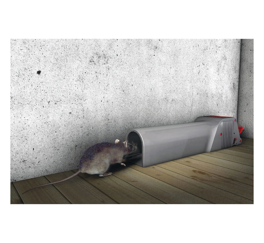 Swissinno Muizenval - No See No Touch