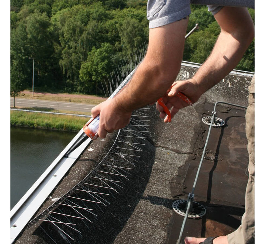 Anti-duivenstrip - 50 cm