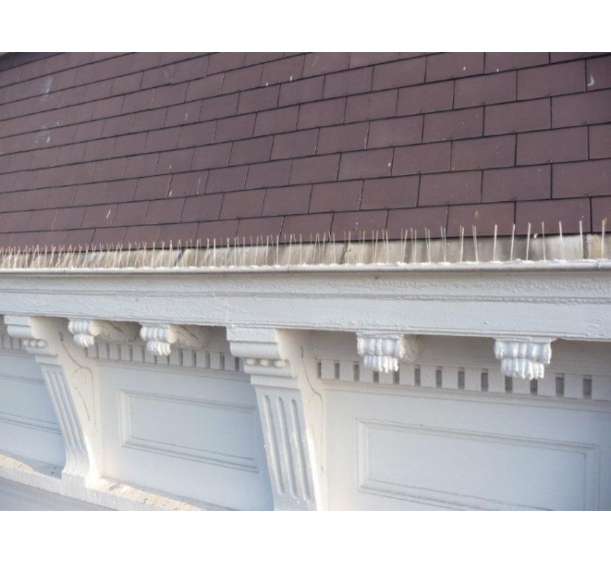 Anti-duivenstrip - 50 cm