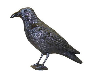 Swissinno Vogelverschrikker - Raaf