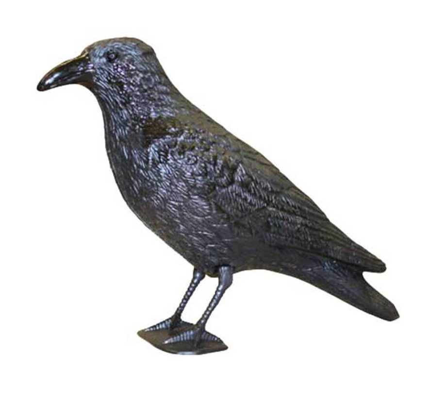 Swissinno Vogelverschrikker - Raaf - Realistisch ontwerp