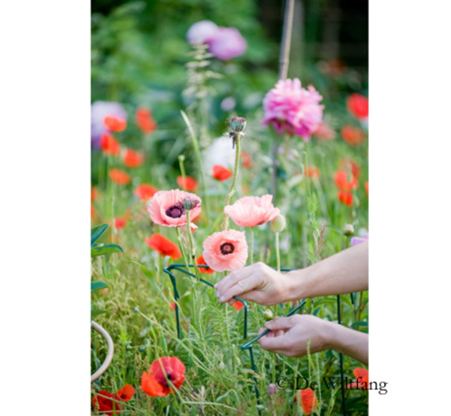 Plantsteunen Engels - 75 cm - 6 Stuks