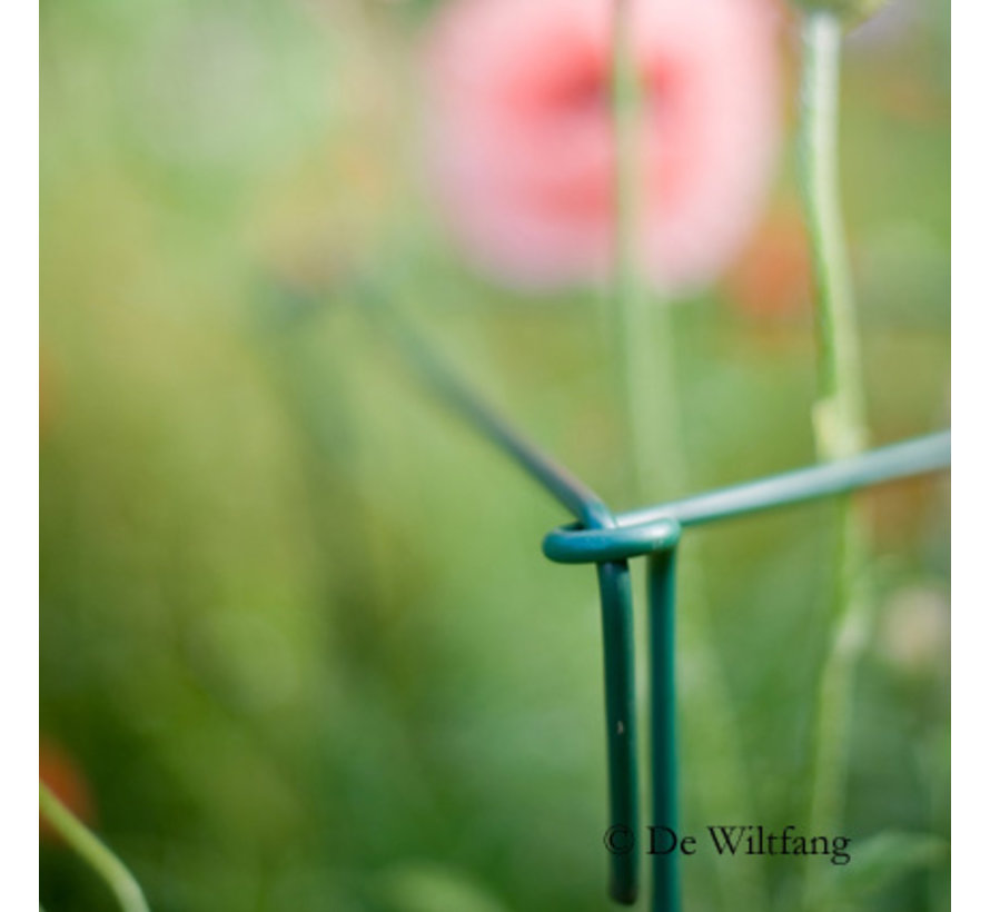 Plantsteunen Engels - 100 cm - 6 Stuks