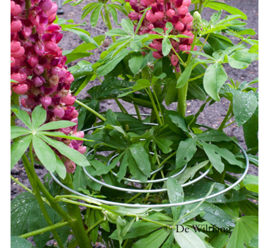 Plantsteun Spiraal - 3 stuks