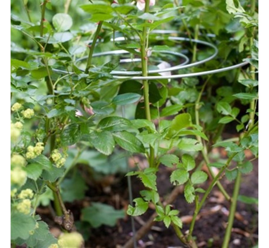 Plantsteun Spiraal - 3 stuks